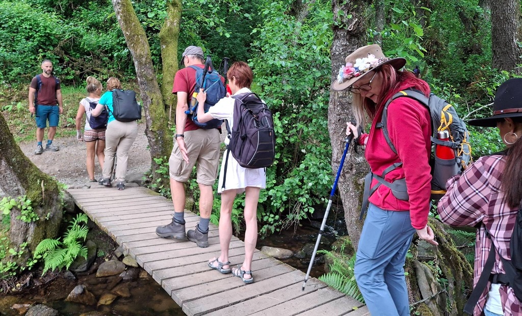 This image shows a group of hikers in single file navigating a wooden footbridge over a small stream in a lush forest. The hikers are dressed in casual hiking attire, including backpacks, hats, and sturdy footwear. One individual is using a walking stick for support and another is at the front guiding them. Pairs of hikers have one person in front with the person behind holding onto the other’s backpack. The group is surrounded by vibrant greenery, including trees, moss, ferns, and other vegetation, creating a peaceful and natural environment. The wooden bridge spans over a shallow stream with rocks and plants visible below.